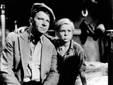 The Champ  Wallace Beery  Jackie Cooper  1931