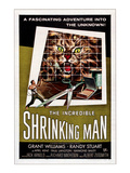 The Incredible Shrinking Man  1957