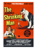 The Incredible Shrinking Man  1957