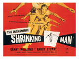 The Incredible Shrinking Man  Grant Williams  1957