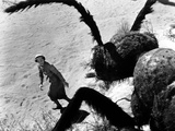 Them!  Joan Weldon  1954