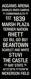Boston University: College Town Wall Art
