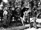 Ride Lonesome  Karen Steele  James Best  Randolph Scott  Pernell Roberts  James Coburn  1959
