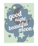 Good Night Beautiful Moon