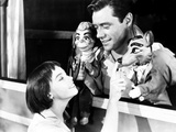 Lili  Leslie Caron  Mel Ferrer  1953