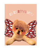 La La Love You