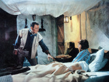 Hatari!  John Wayne  Elsa Martinelli  1962