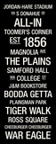 Auburn: College Town Wall Art