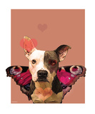Pittie My Heart