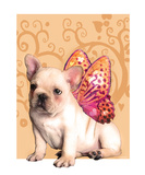 Sweetie Frenchie