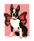 Fairy Boston Terrier