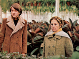 Harold And Maude  Bud Cort  Ruth Gordon  1971