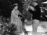 All That Heaven Allows  Jane Wyman  Rock Hudson  1955