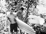 Endless Summer  Mike Hyndson  Robert August  1966