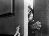 The Incredible Shrinking Man  Grant Williams  1957