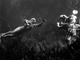 Creature From The Black Lagoon  Shooting Underwater Scene  1954