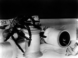 The Incredible Shrinking Man  Grant Williams  1957