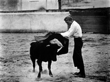 Bullfighter And The Lady  Robert Stack  1951