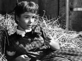 Tammy And The Bachelor  Debbie Reynolds  1957