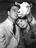 Tammy And The Bachelor  Leslie Nielsen  Debbie Reynolds  1957