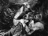 A Midsummer Night's Dream  Anita Louise  James Cagney  1935