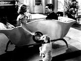 The Awful Truth  Irene Dunne  Asta  Cary Grant  1937