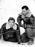 Stalag 17  Don Taylor  William Holden  1953