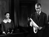 Anatomy Of A Murder  Kathryn Grant  James Stewart  1959