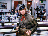 Calamity Jane  Doris Day  1953
