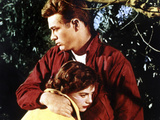 Rebel Without A Cause  Natalie Wood  James Dean  1955