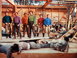 Seven Brides For Seven Brothers  1954