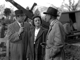 Mr Blandings Builds His Dream House  Cary Grant  Myrna Loy  Melvyn Douglas  1948