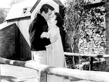 All That Heaven Allows  Rock Hudson  Jane Wyman  1955