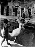 Summertime  Gaitano Audiero  Katharine Hepburn  1955