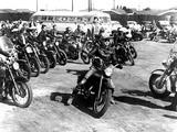 The Wild One  Marlon Brando  1954