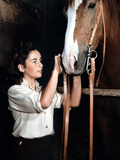 National Velvet  Elizabeth Taylor  1944