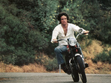 Shampoo  Warren Beatty  1975