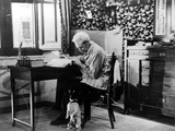 Umberto D  Carlo Battisti  1952