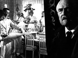Wild Strawberries  Bibi Andersson  Victor Sjostrom  1957
