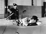 Topper  Cary Grant  Constance Bennett  J Farrell McDonald  1937