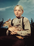 The Yearling  Claude Jarman  Jr  1946