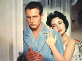 Cat On A Hot Tin Roof  Paul Newman  Elizabeth Taylor  1958