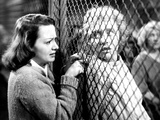 The Snake Pit  Olivia De Havilland  Celeste Holm  1948