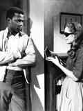 A Patch Of Blue  Sidney Poitier  Elizabeth Hartman  1965