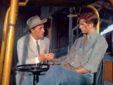 Home From The Hill  Robert Mitchum  George Hamilton  1960