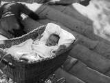 Battleship Potemkin  (AKA Bronenosets Potyomkin)  The Odessa Steps Sequence  1925