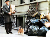 Harry And Tonto  Art Carney  1974