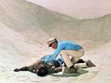 The Flight Of The Phoenix  Ernest Borgnine  James Stewart  1965
