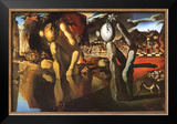 The Metamorphosis of Narcissus  c1937