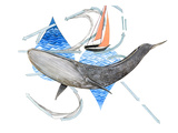 Migrating Mural Concept: North Pacific Blue Whale